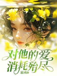 对他的爱,消耗殆尽