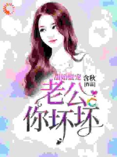 甜婚蜜宠:老公你坏坏