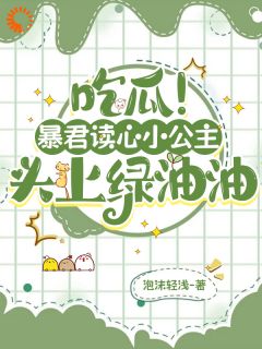 叶景星叶修珩小说 《穿越后,我成了皇上不知道的小公主》小说全文免费阅读