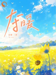 《夺暖》(向暖叶寒)小说阅读by席紫一