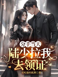 《分手当天,陆少拉我去领证》齐之诺陆闻璟温少虞章节目录在线阅读