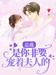 总裁,是你非要宠着夫人的!