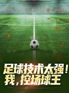 足球技术太强!我,控场球王
