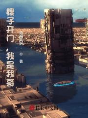 《嫂子开门，我是我哥》小说全文精彩章节在线阅读（叶凡玉玲珑）