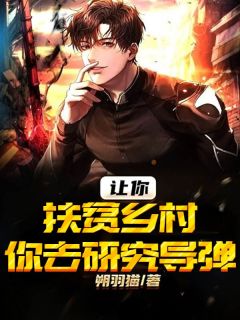 让你扶贫乡村,你去研究导弹?