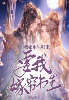 林青婉陆锦风小说 《我娘重生归来要我嫁穷书生》小说全文在线阅读