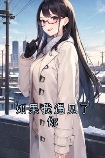 如果我遇见了你池晚言霍北萧全本在线阅读