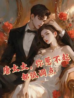 《唐太太,你惹不起都低调点》唐时宋少雨章节精彩试读