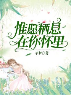 《惟愿栖息在你怀里》苏小楠卓斯年全本在线阅读