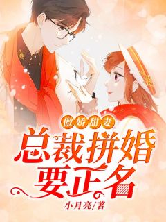傲娇甜妻:总裁拼婚要正名
