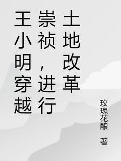 《王小明穿越崇祯,进行土地改革》小说精彩章节免费试读(主角王小明崇祯帝)