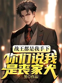 《战王都是我手下，你们说我是丧家犬》叶天欧阳菁章节目录免费试读