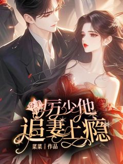 分手后,厉少他追妻上瘾