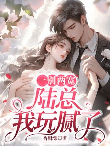 许留夏陆衍沉by香酥梨 一别两宽，陆总我玩腻了！在线阅读全文