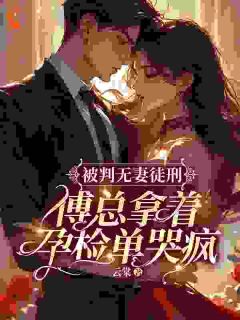 总裁别虐了,夫人已经签了离婚书