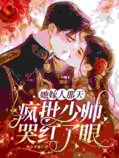 《我拎包离开，少帅却穷追不舍》小说章节目录免费阅读 许锦夜许晓芸小说全文