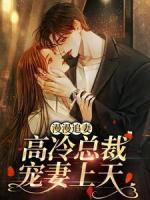 漫漫追妻路:高冷总裁宠妻上天