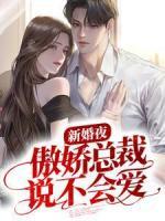 新婚夜,傲娇总裁说不会爱