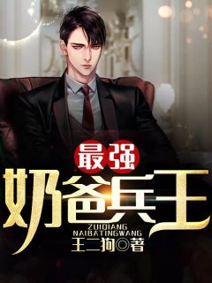 最强奶爸兵王秦风林小雅目录 最强奶爸兵王小说阅读