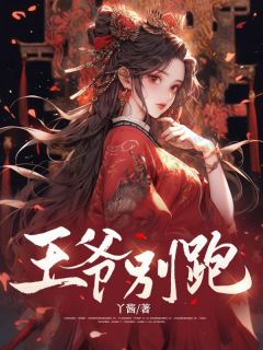 《王爷别跑》小说完结版免费阅读 赫连岐玉宋沁小说全文