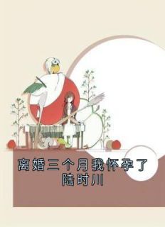 离婚三个月我怀孕了陆时川