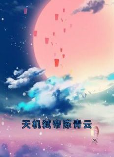 天机弑帝陈青云