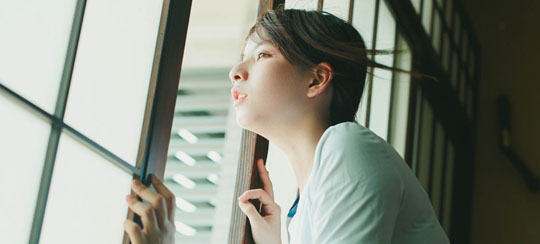 最新好看的悍妻小说
