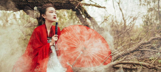 女房东小说有哪些
