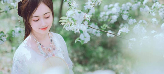 热门萌宝归来小说推荐