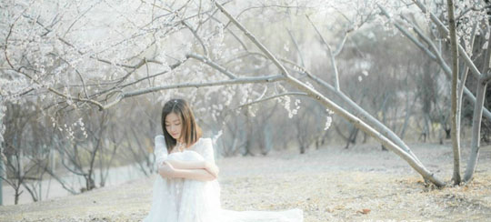 最新好看的太傅小说
